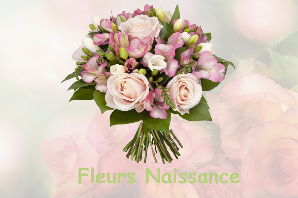 fleurs naissance COUEILLES