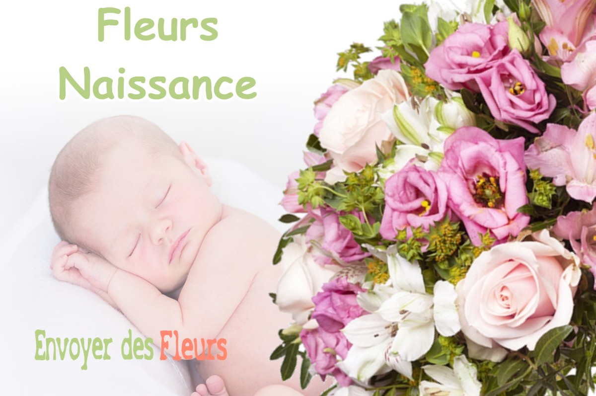 lIVRAISON FLEURS NAISSANCE à COUEILLES